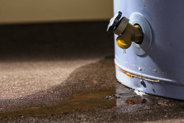 Best Water damage cleanup near me  in Custer, SD