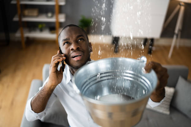 Best 24/7 water damage repair  in Custer, SD