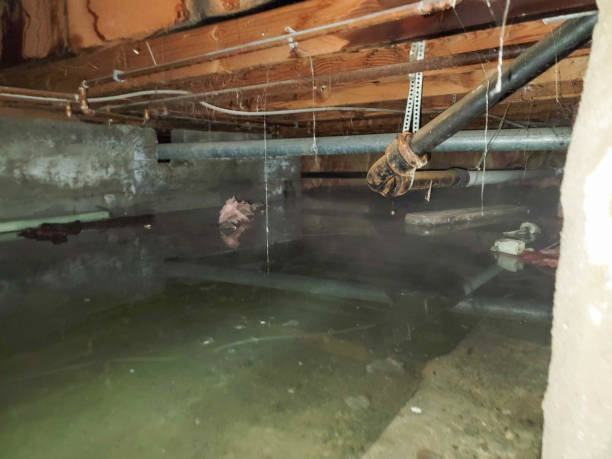 24/7 water damage repair in Custer, SD
