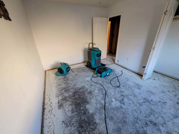 Water damage restoration mold remediation in Custer, SD