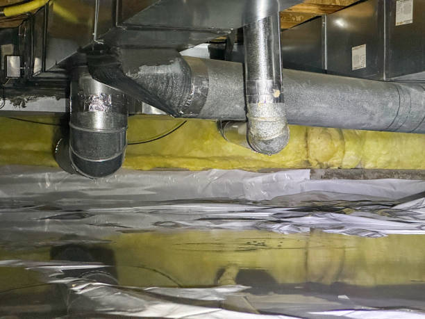 Best Basement water damage restoration  in Custer, SD