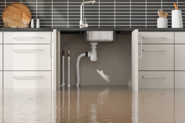 Best Commercial water damage restoration  in Custer, SD