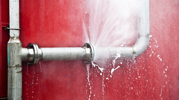 Best Water damage restoration near me  in Custer, SD
